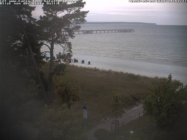 Camera Live Image